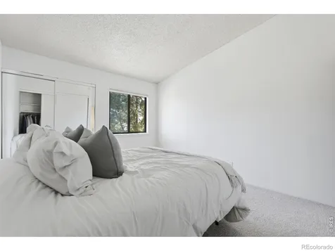 532 Oakwood Drive Castle Rock CO 80104