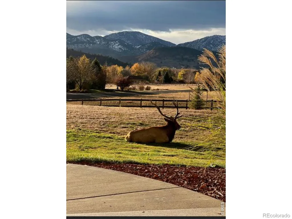 6009 Pronto Way Loveland CO 80538