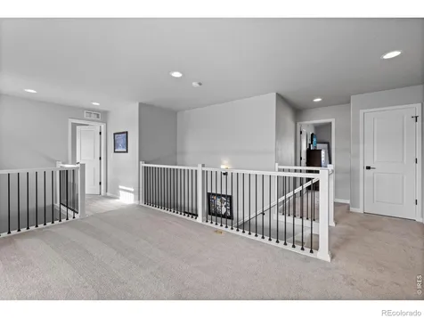 356 Bluestar Drive Windsor CO 80550
