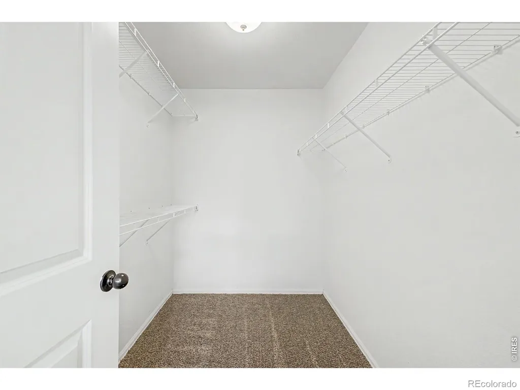 533 E 28th St Drive Greeley CO 80631
