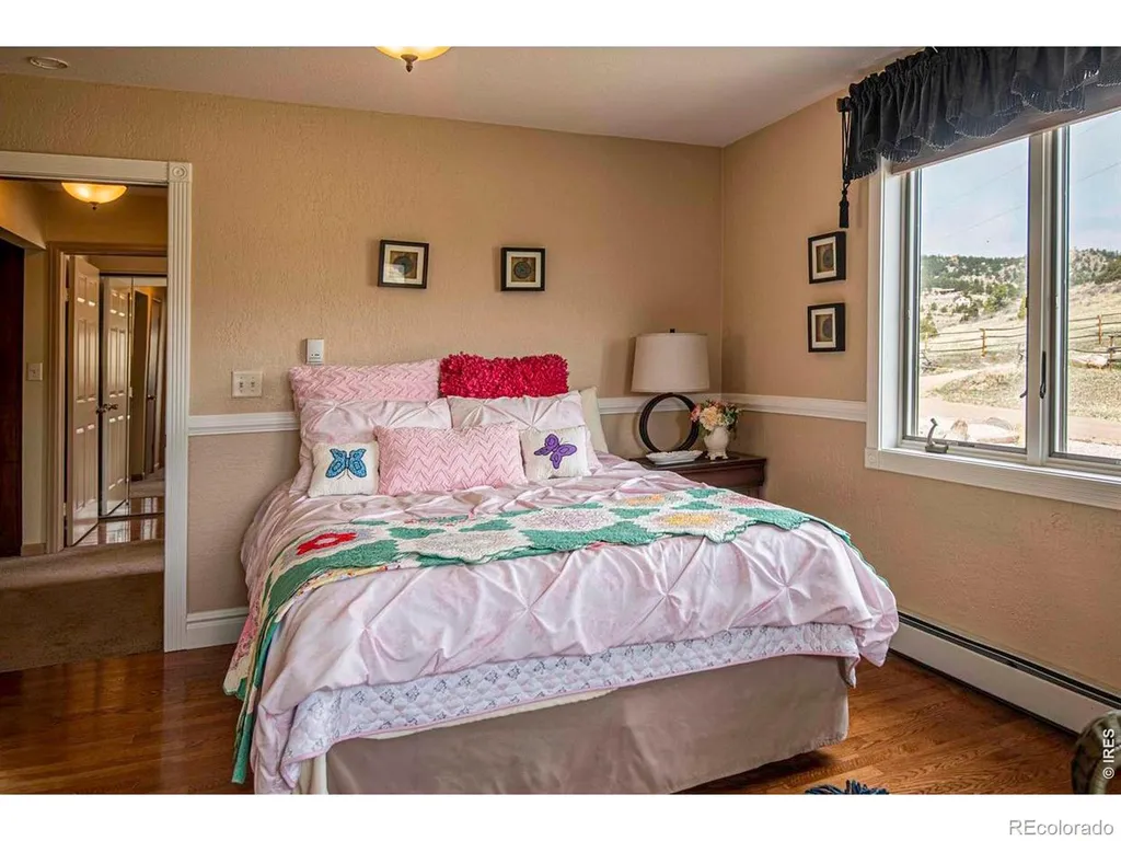 90 Mount Axtell Drive Livermore CO 80536