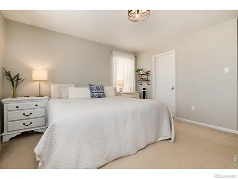 371 Stoll Drive Windsor CO 80550