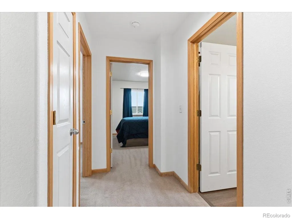 615 Foxtail Way Severance CO 80550