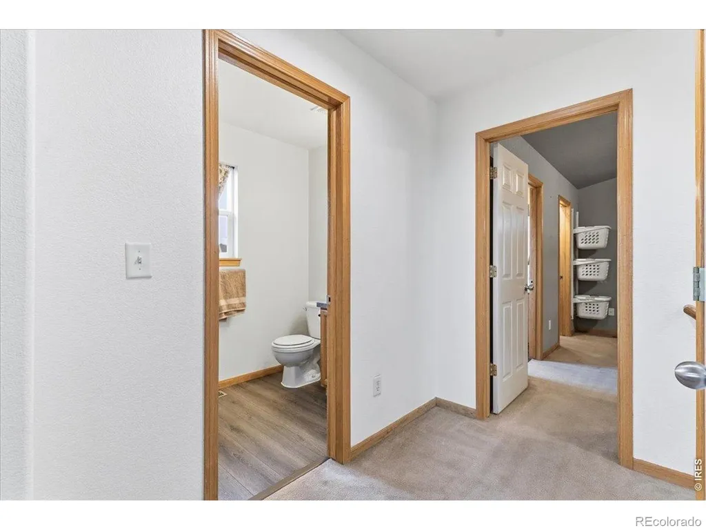 615 Foxtail Way Severance CO 80550