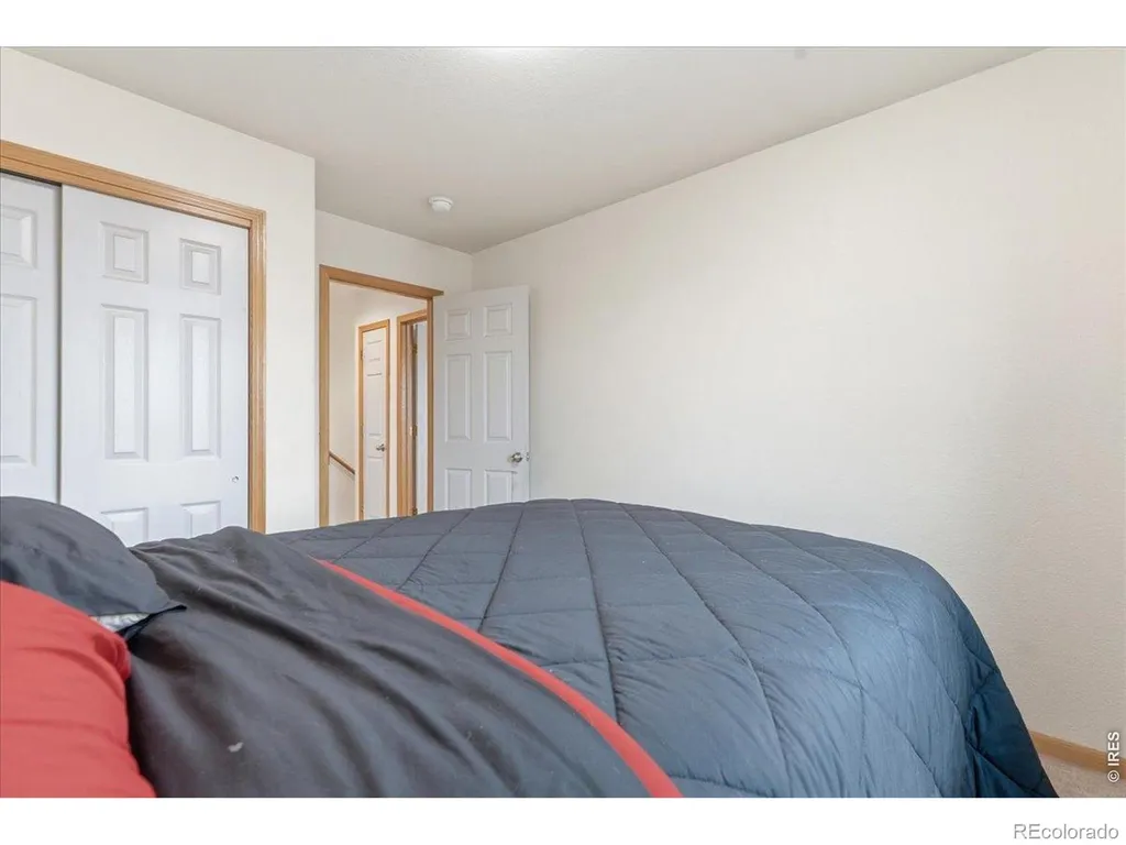 615 Foxtail Way Severance CO 80550