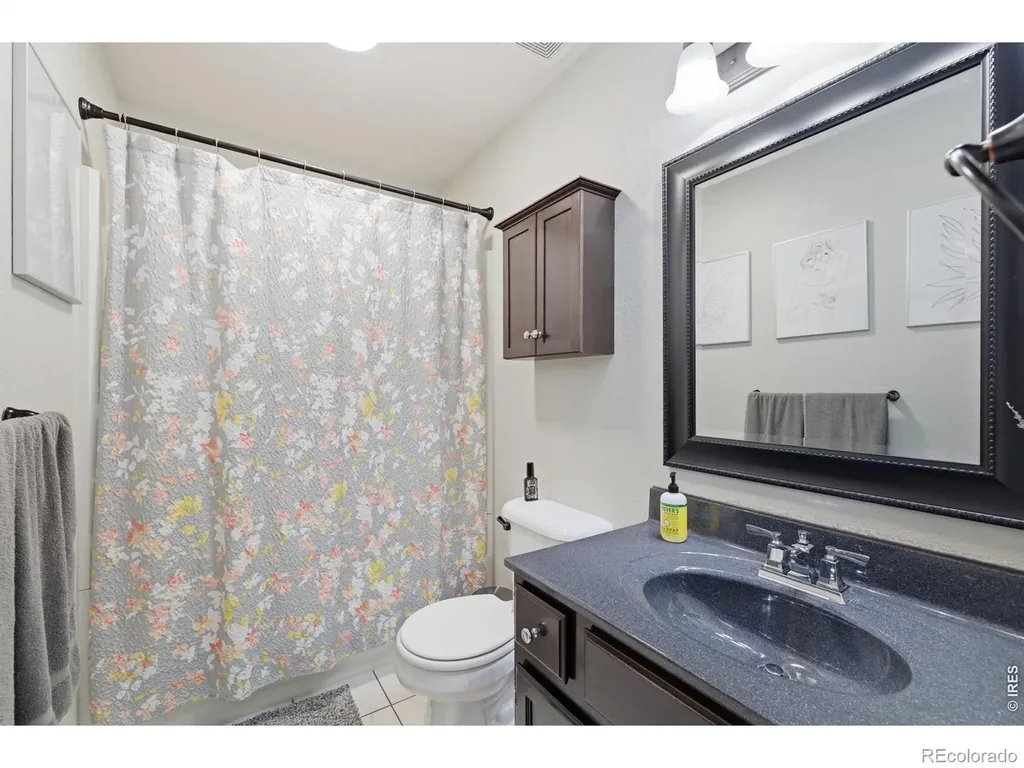 216 Chestnut Street Windsor CO 80550