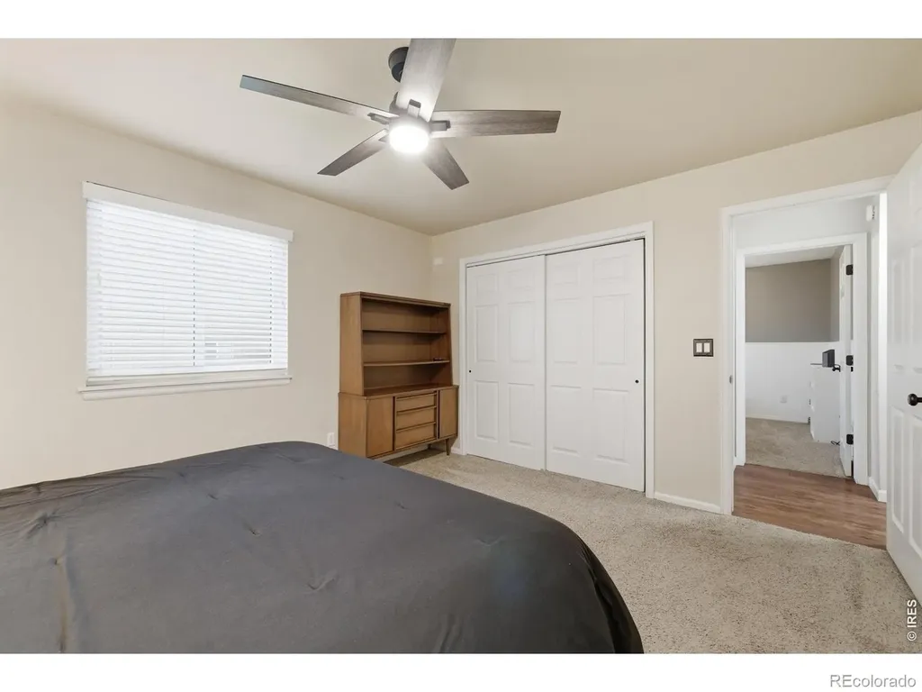 216 Chestnut Street Windsor CO 80550