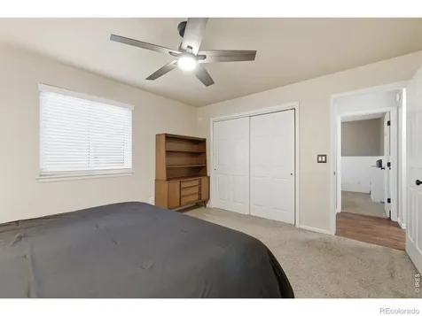 216 Chestnut Street Windsor CO 80550