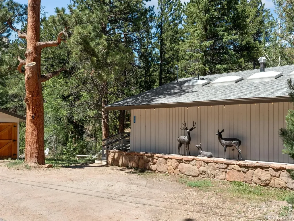 330 Fall River Lane Estes Park CO 80517