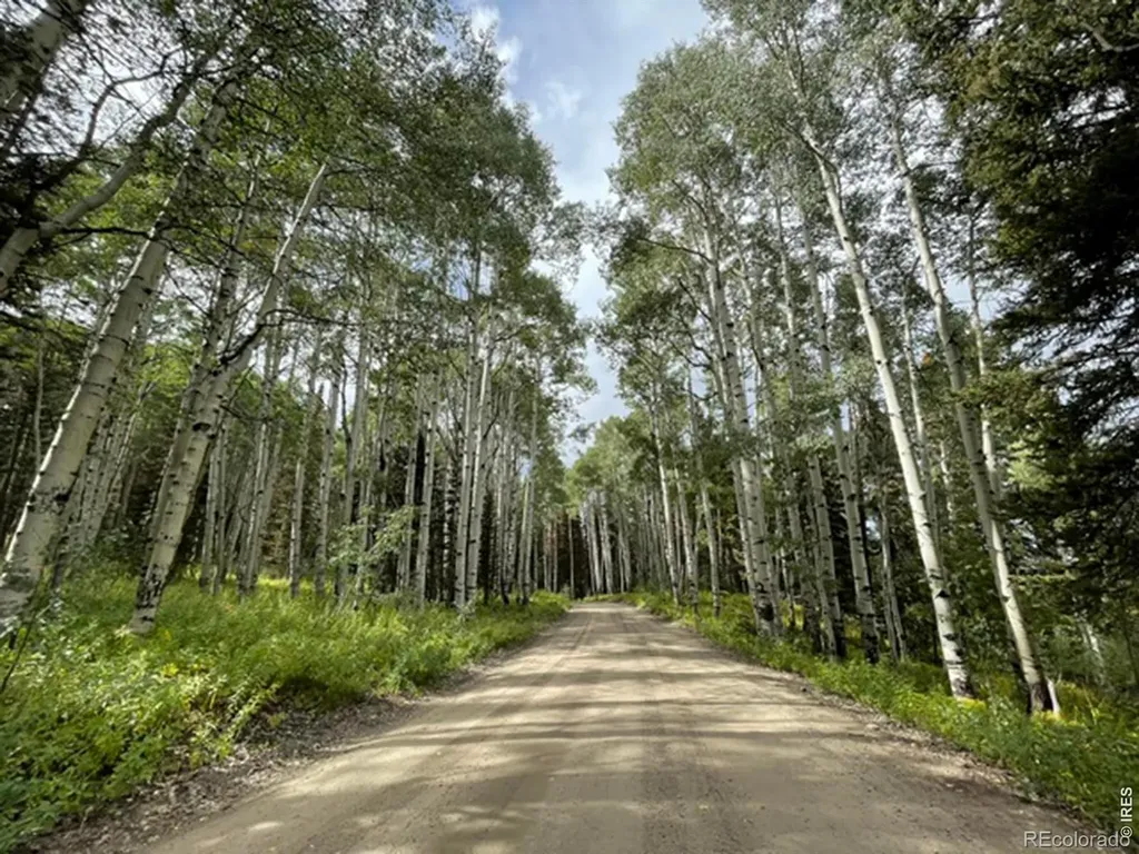 3894 Fourth Of July Road Nederland CO 80466
