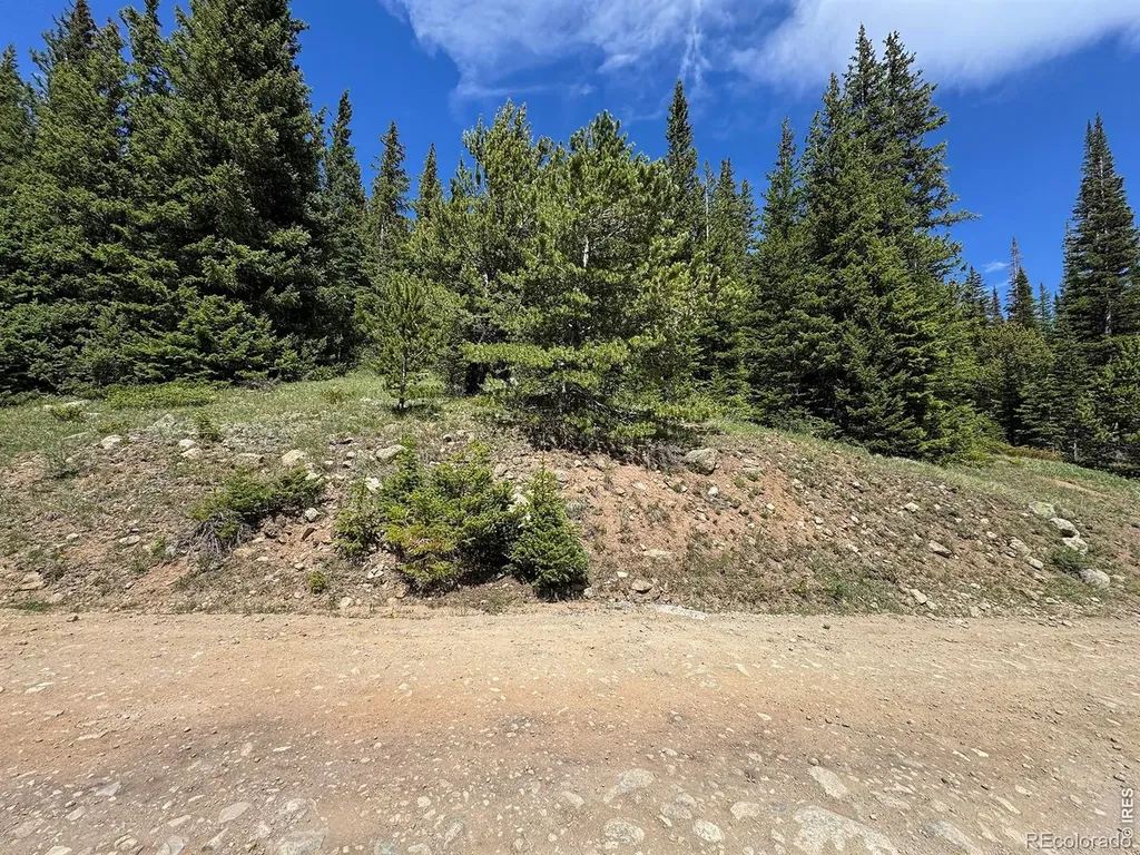 3894 Fourth Of July Road Nederland CO 80466