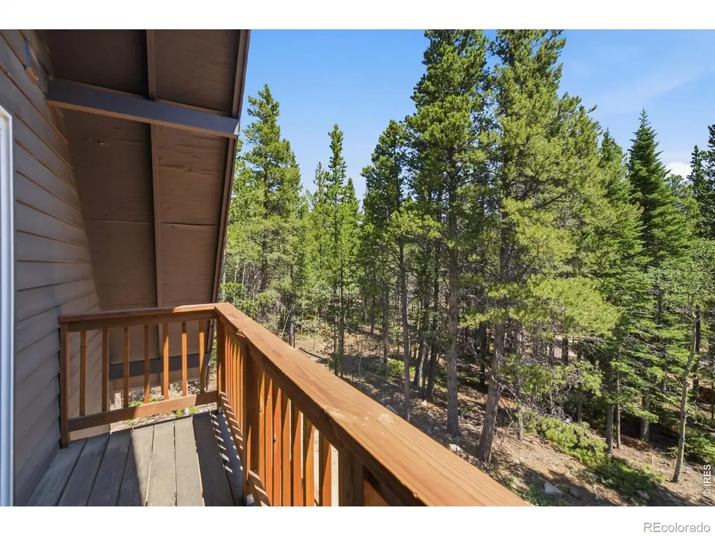 225 Mills Moraine Drive Estes Park CO 80517