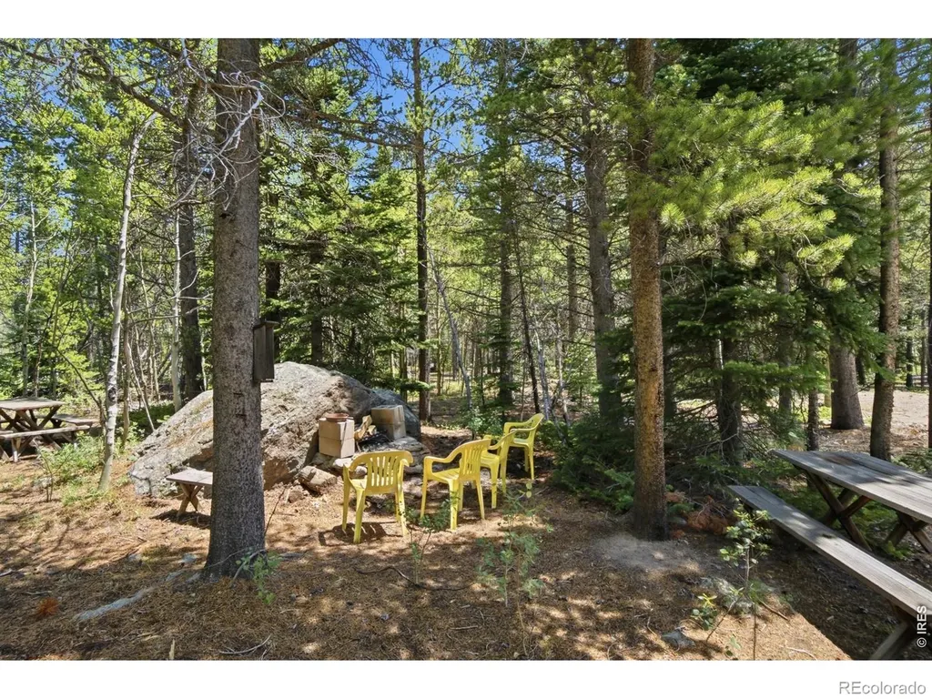 225 Mills Moraine Drive Estes Park CO 80517