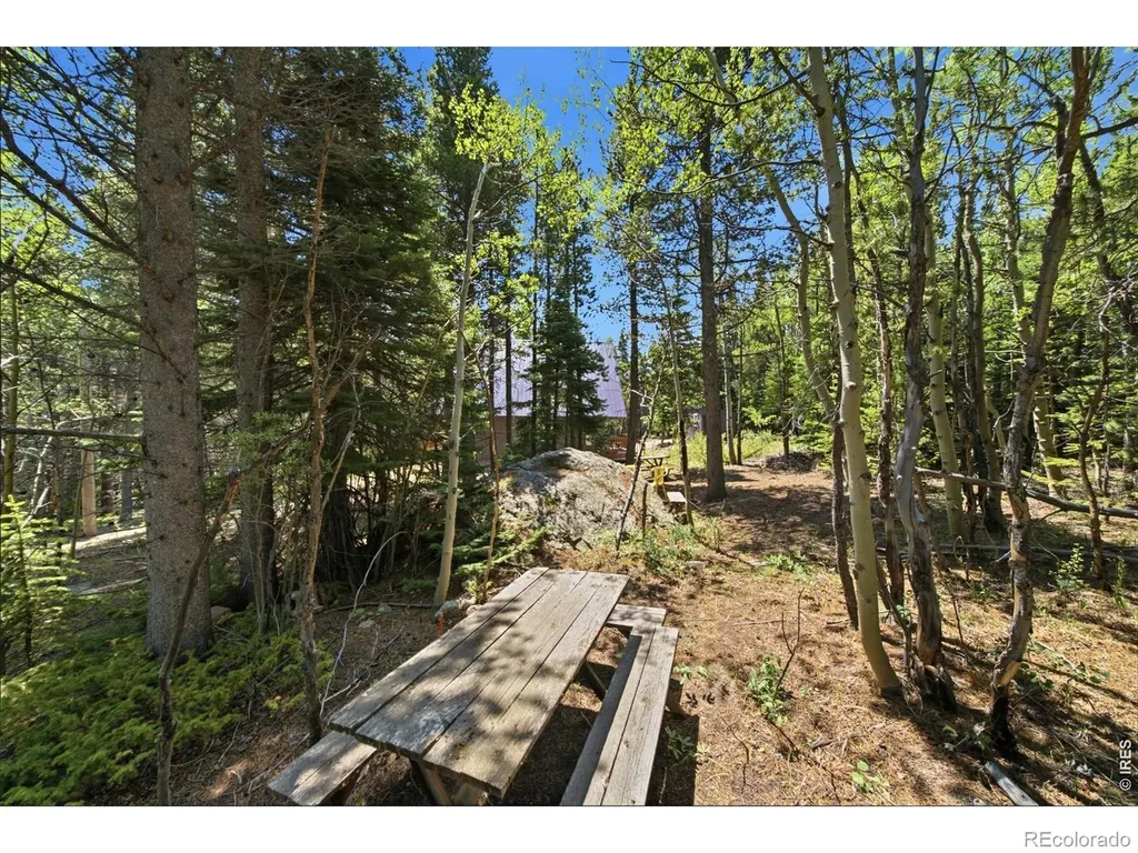 225 Mills Moraine Drive Estes Park CO 80517