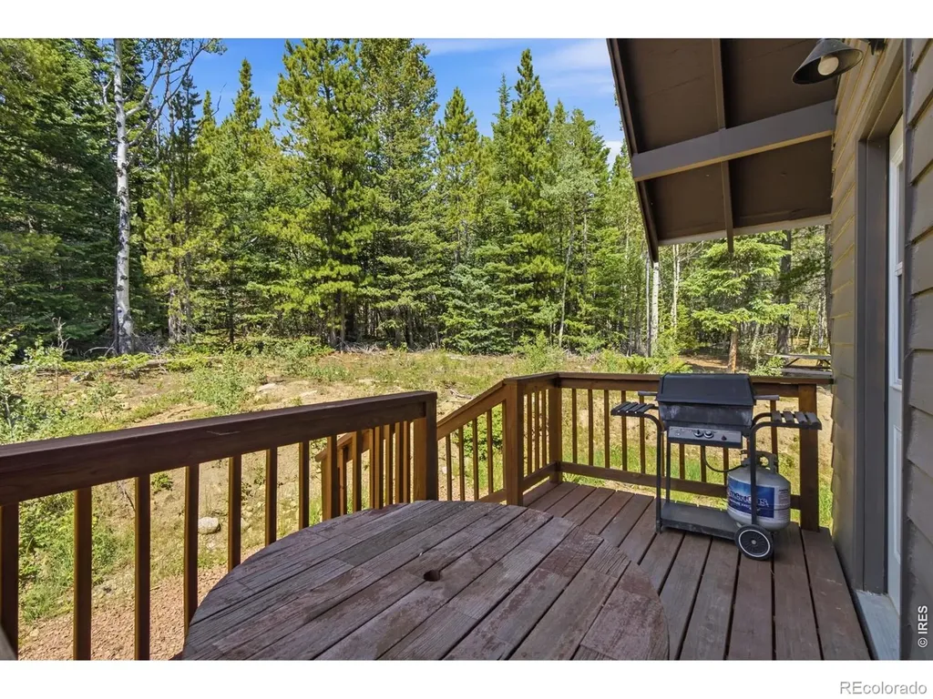 225 Mills Moraine Drive Estes Park CO 80517