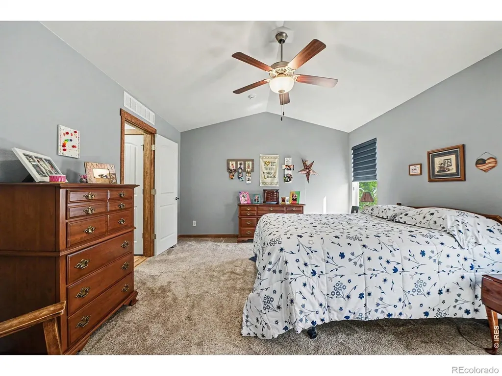 7078 Meade Street Wellington CO 80549
