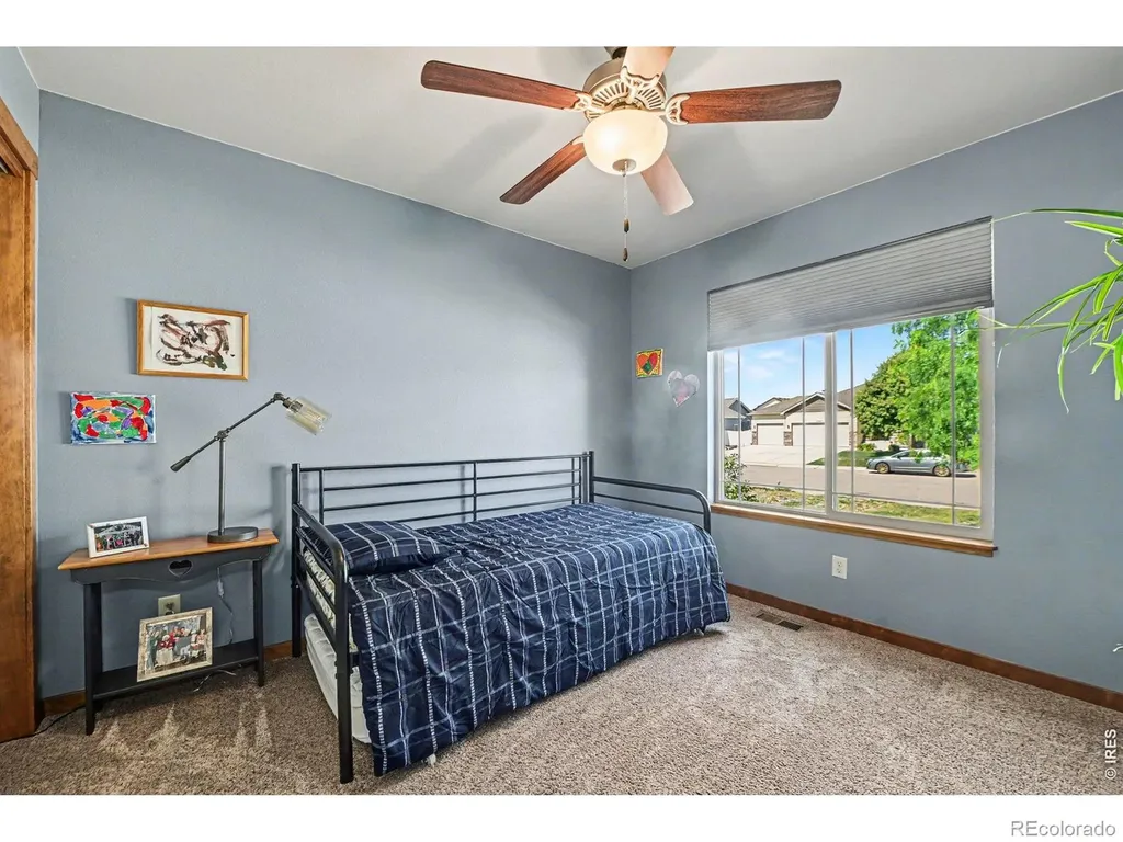 7078 Meade Street Wellington CO 80549