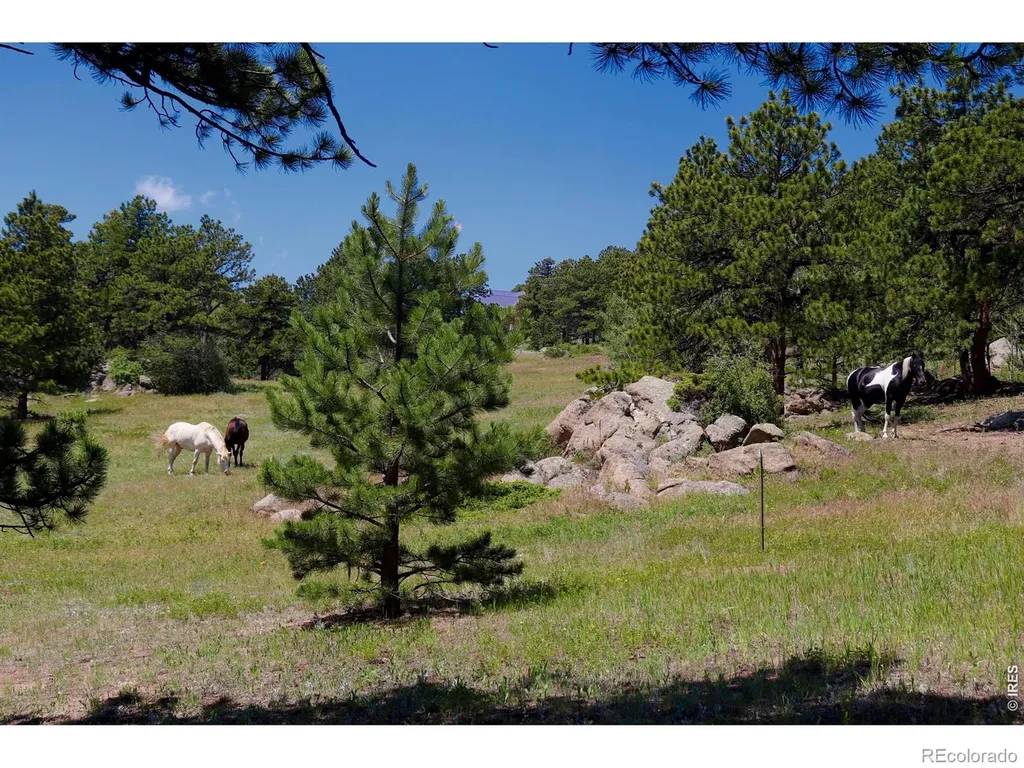 636 Ranch Road Ward CO 80481