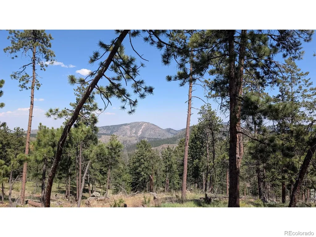 0 Old Camp Road Bellvue CO 80512