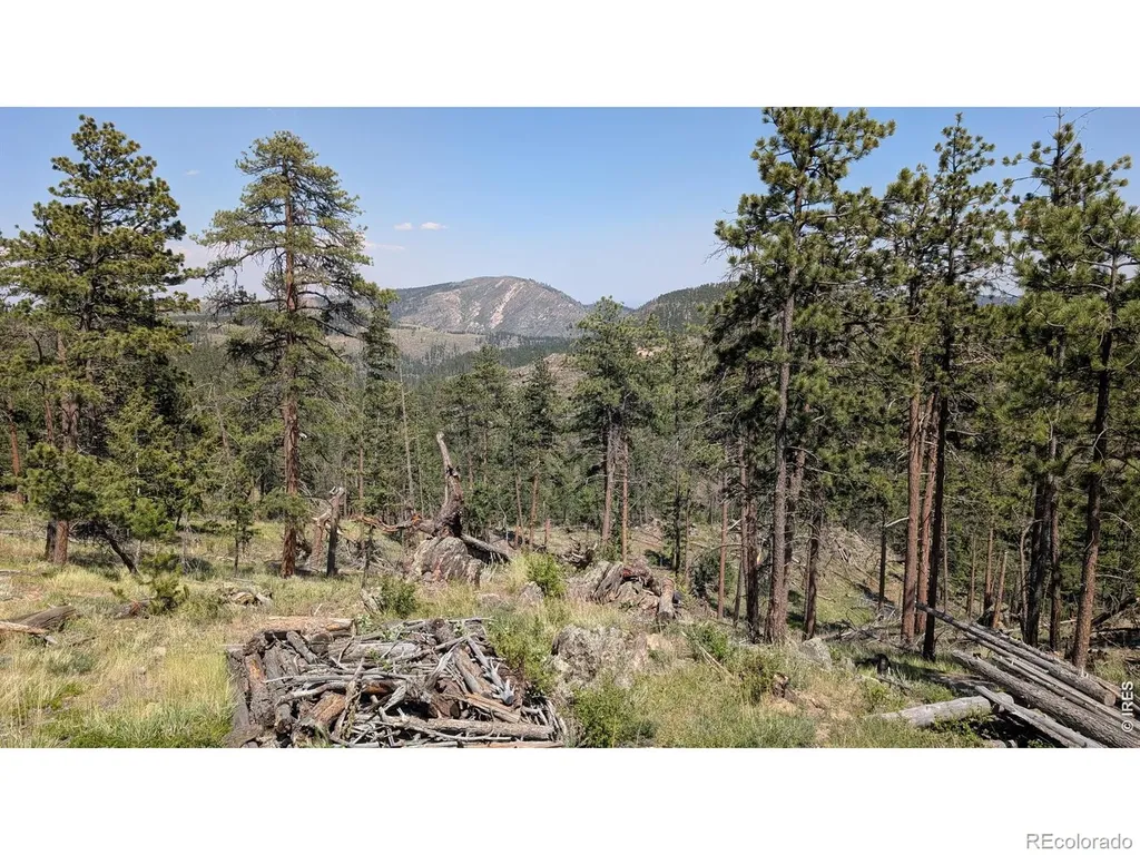 0 Old Camp Road Bellvue CO 80512