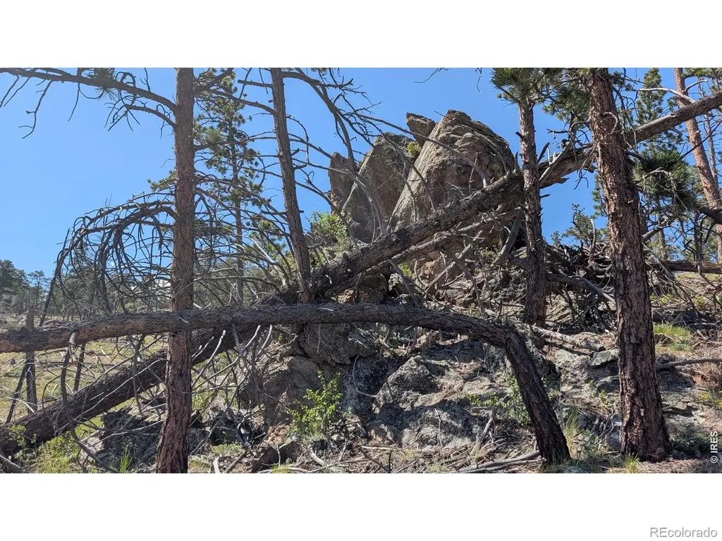 0 Old Camp Road Bellvue CO 80512