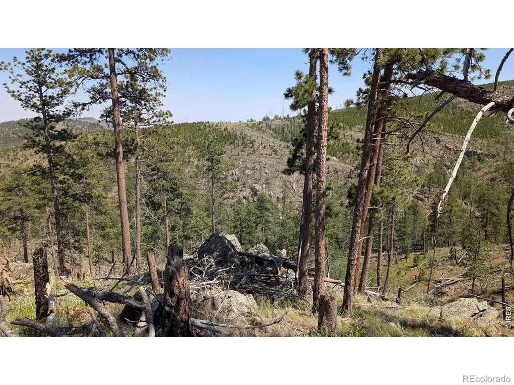 0 Old Camp Road Bellvue CO 80512