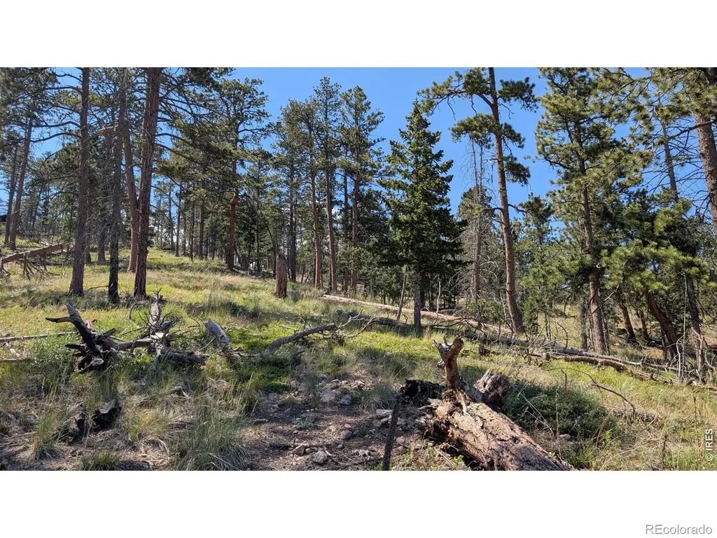 0 Old Camp Road Bellvue CO 80512