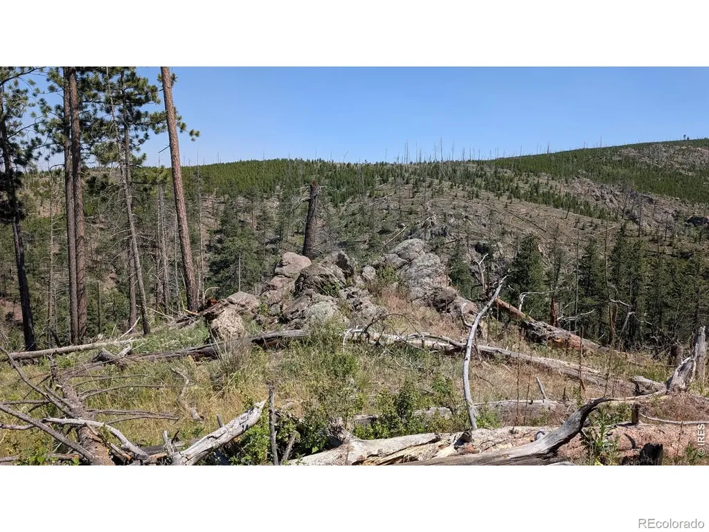 0 Old Camp Road Bellvue CO 80512