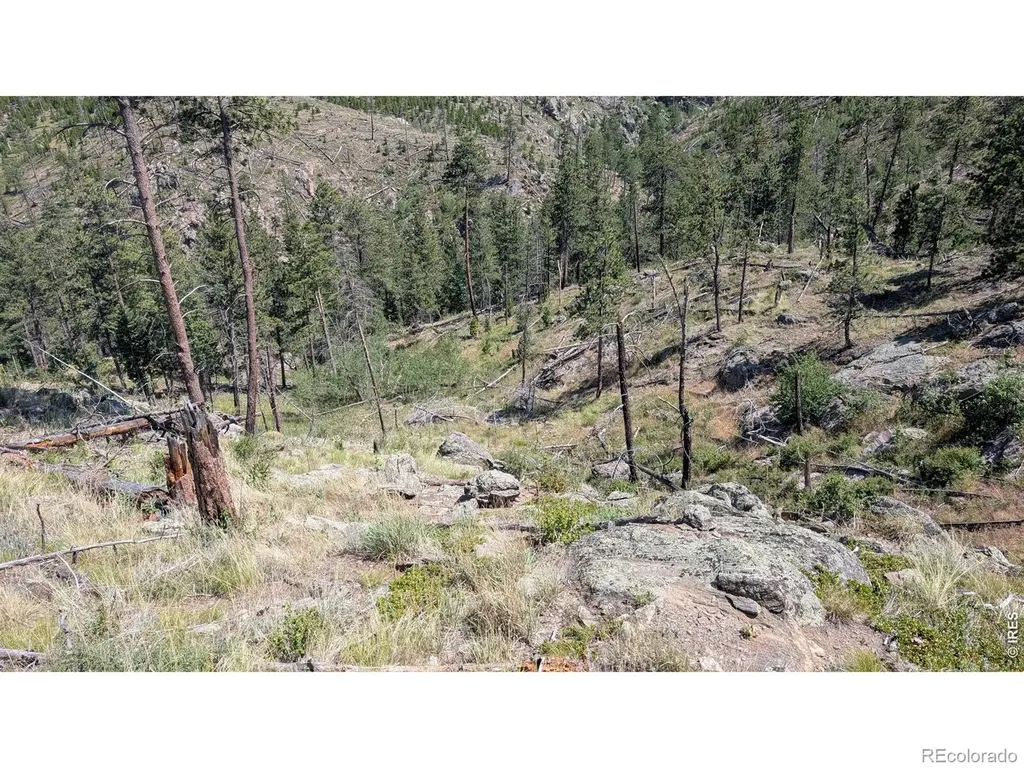 0 Old Camp Road Bellvue CO 80512