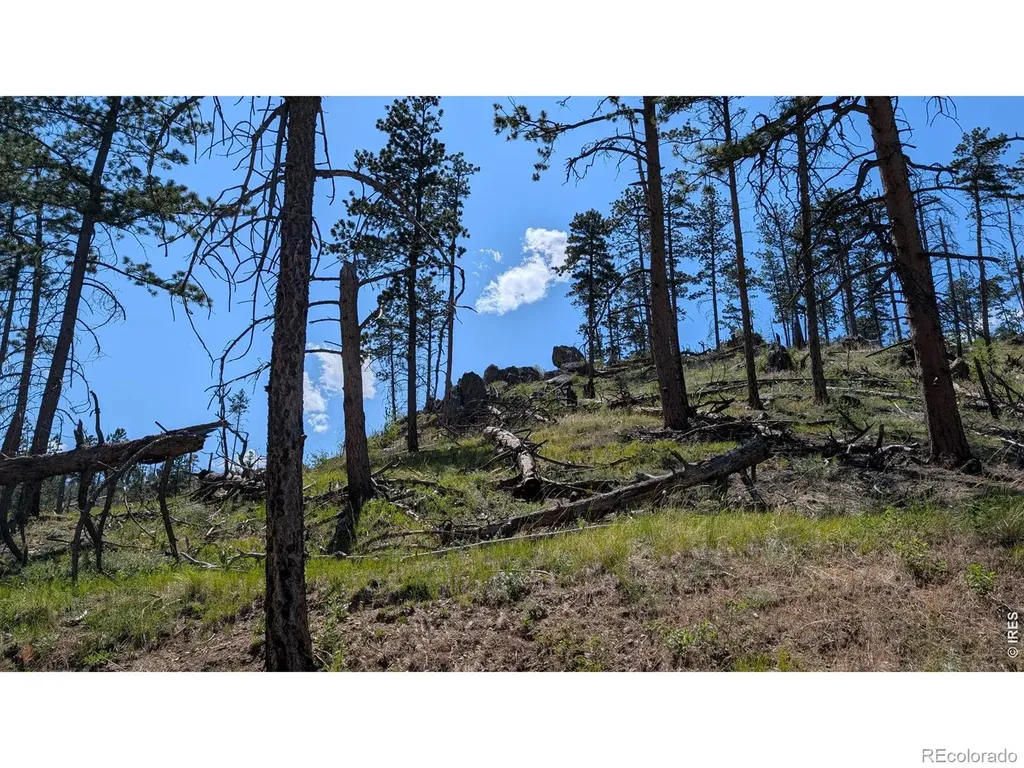 0 Old Camp Road Bellvue CO 80512