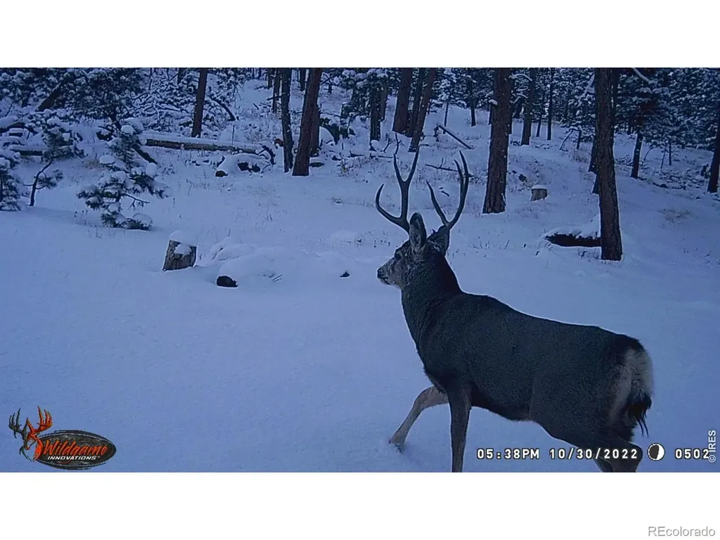 0 Old Camp Road Bellvue CO 80512