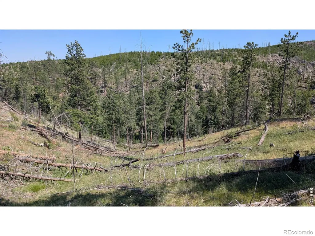 0 Old Camp Road Bellvue CO 80512