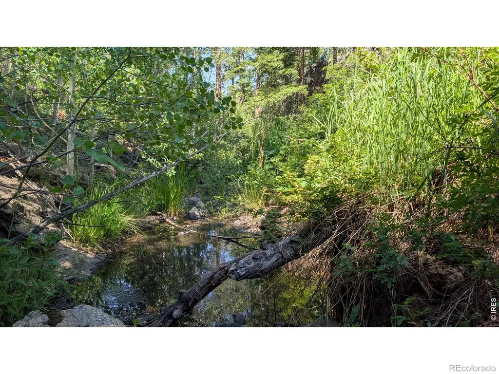 0 Old Camp Road Bellvue CO 80512