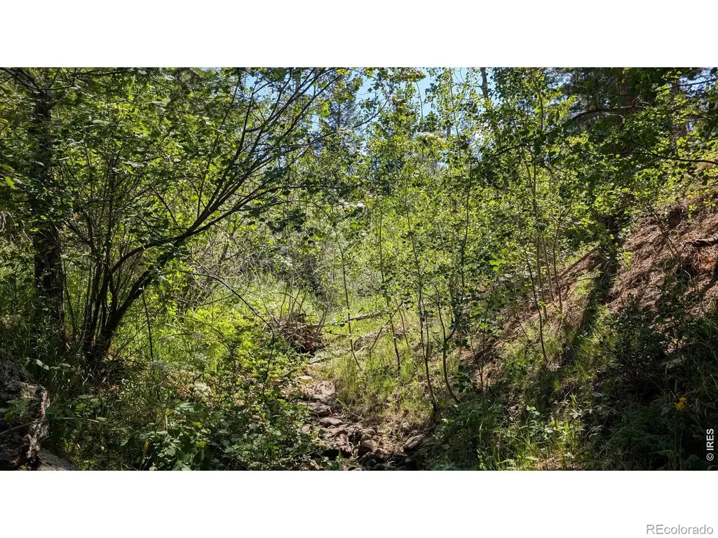 0 Old Camp Road Bellvue CO 80512