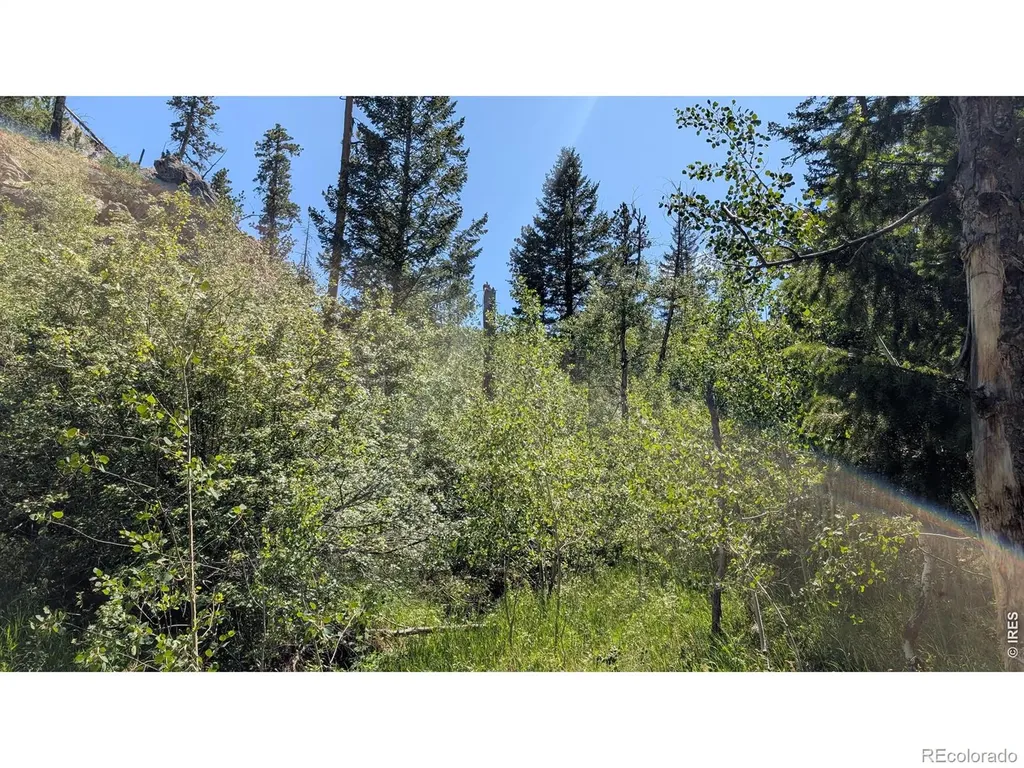0 Old Camp Road Bellvue CO 80512