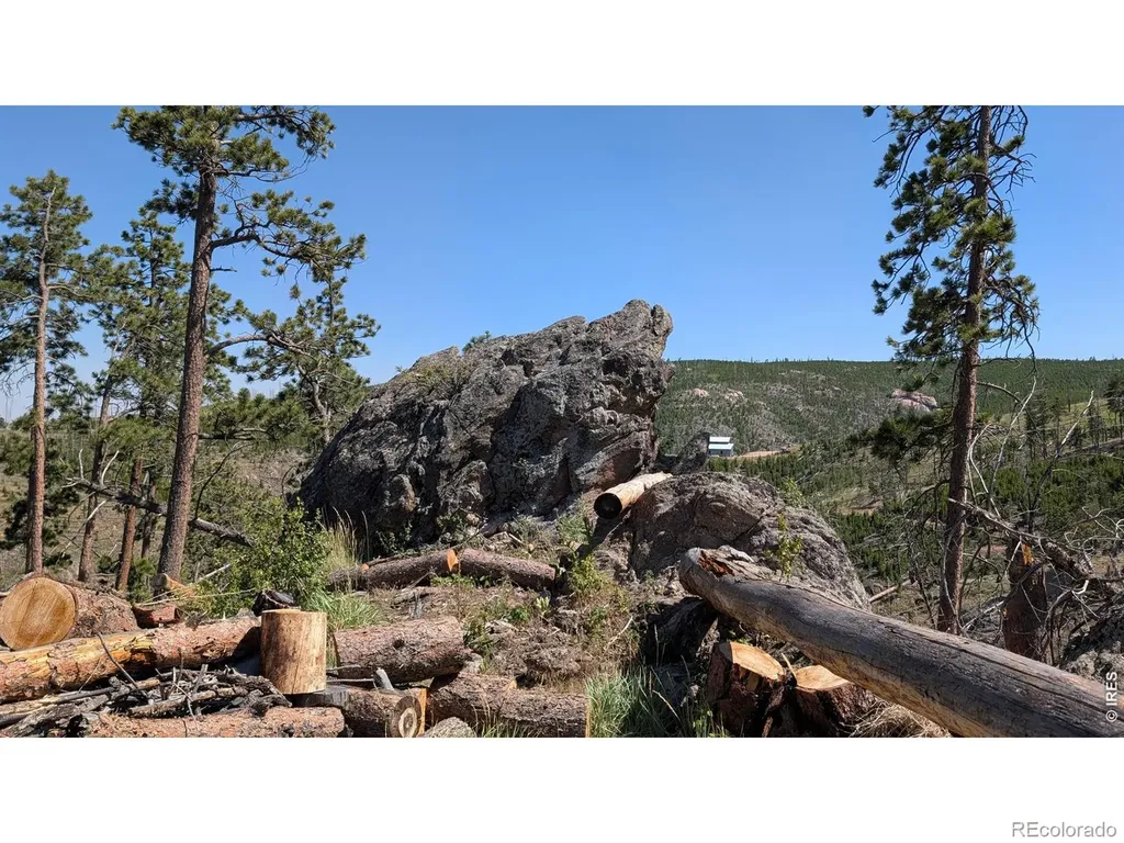 0 Old Camp Road Bellvue CO 80512