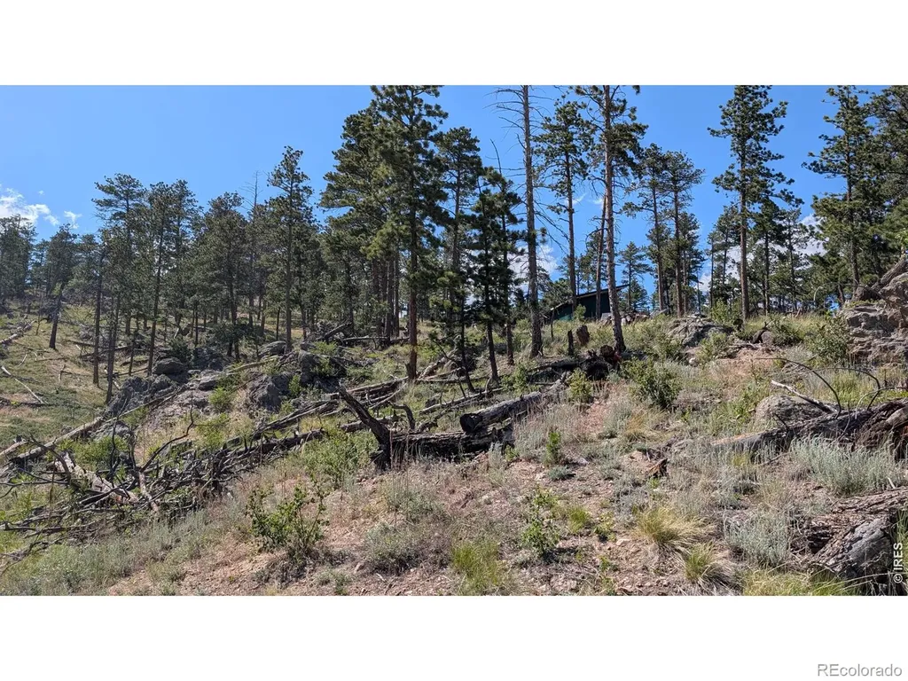 0 Old Camp Road Bellvue CO 80512