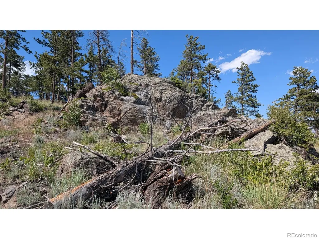 0 Old Camp Road Bellvue CO 80512