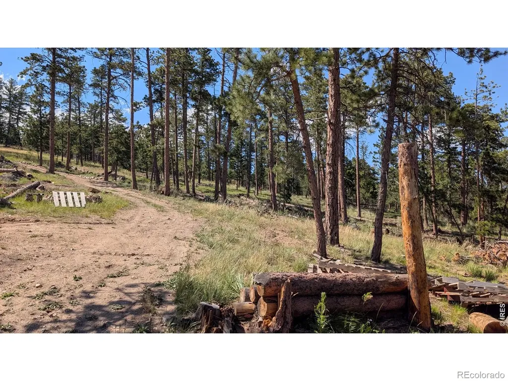 0 Old Camp Road Bellvue CO 80512