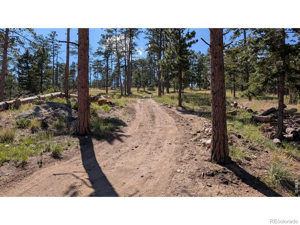 0 Old Camp Road Bellvue CO 80512