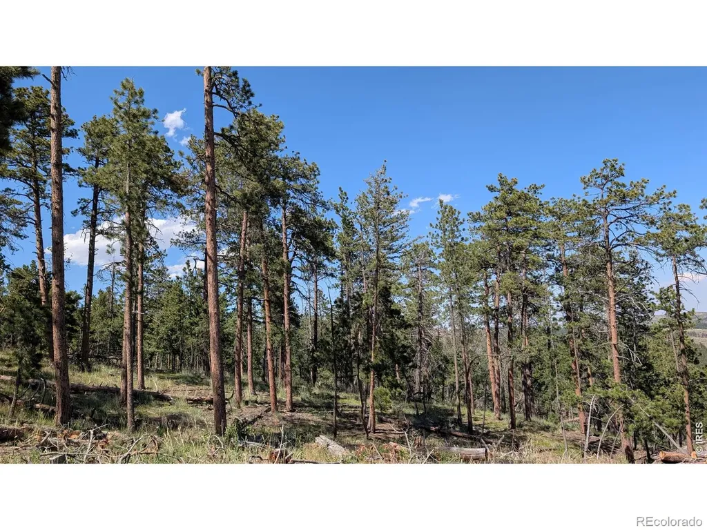 0 Old Camp Road Bellvue CO 80512