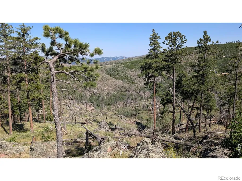 0 Old Camp Road Bellvue CO 80512