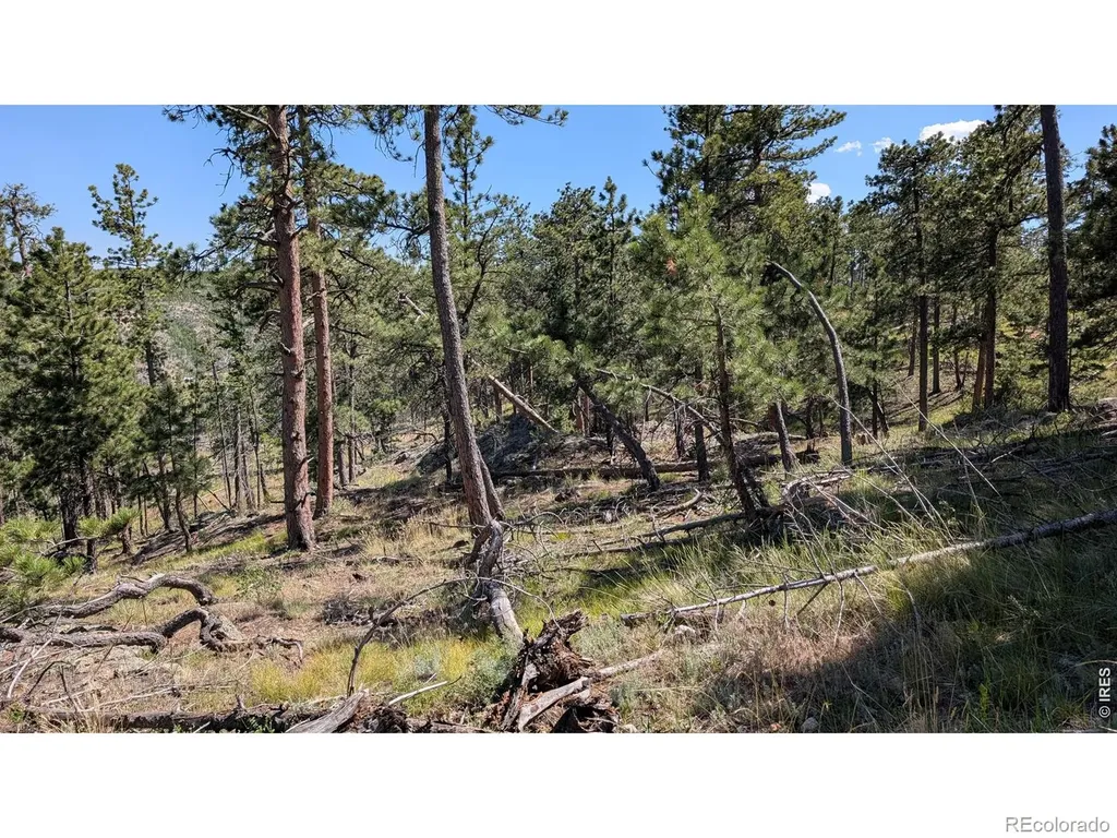 0 Old Camp Road Bellvue CO 80512