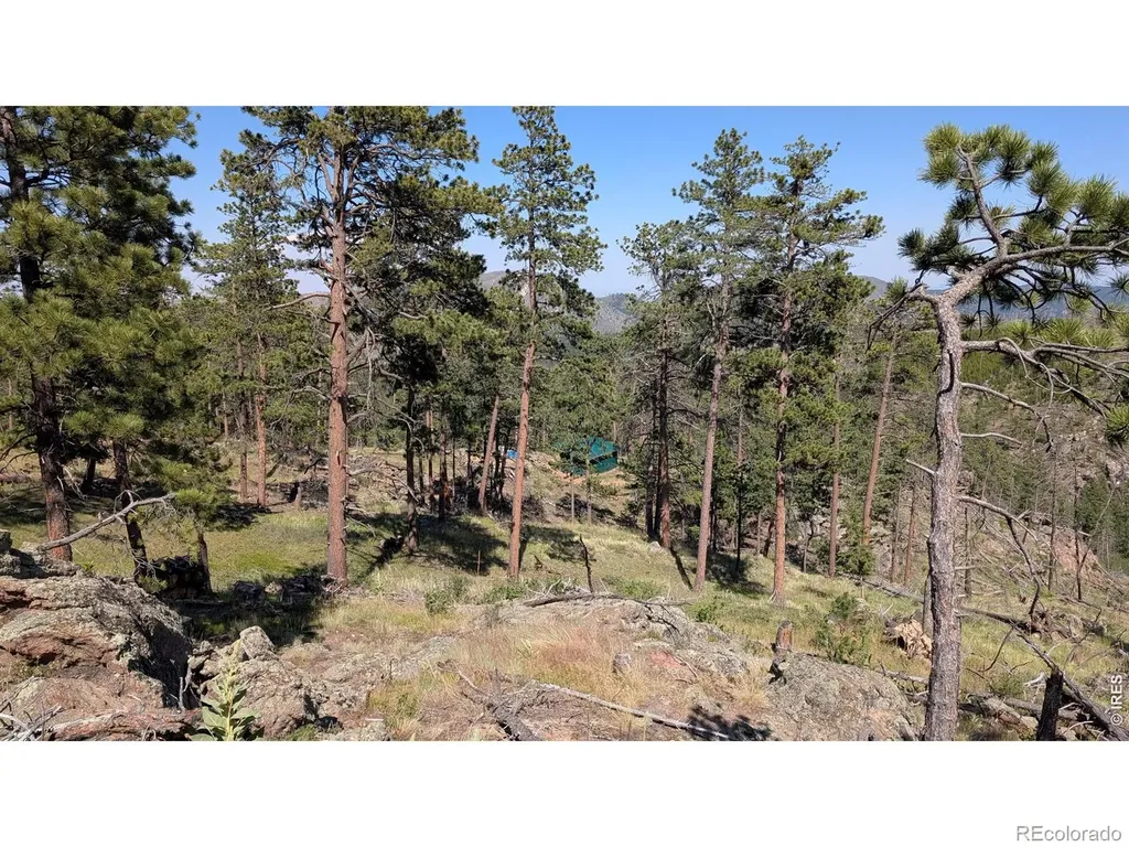 0 Old Camp Road Bellvue CO 80512