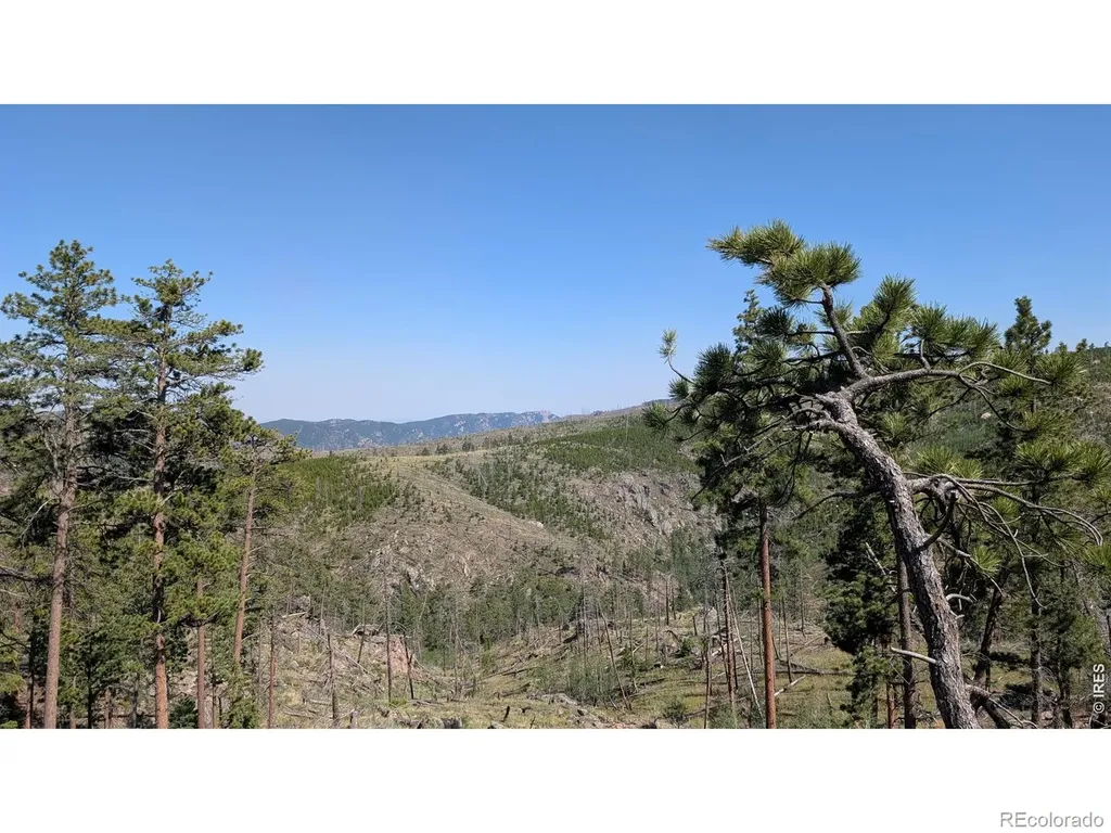 0 Old Camp Road Bellvue CO 80512