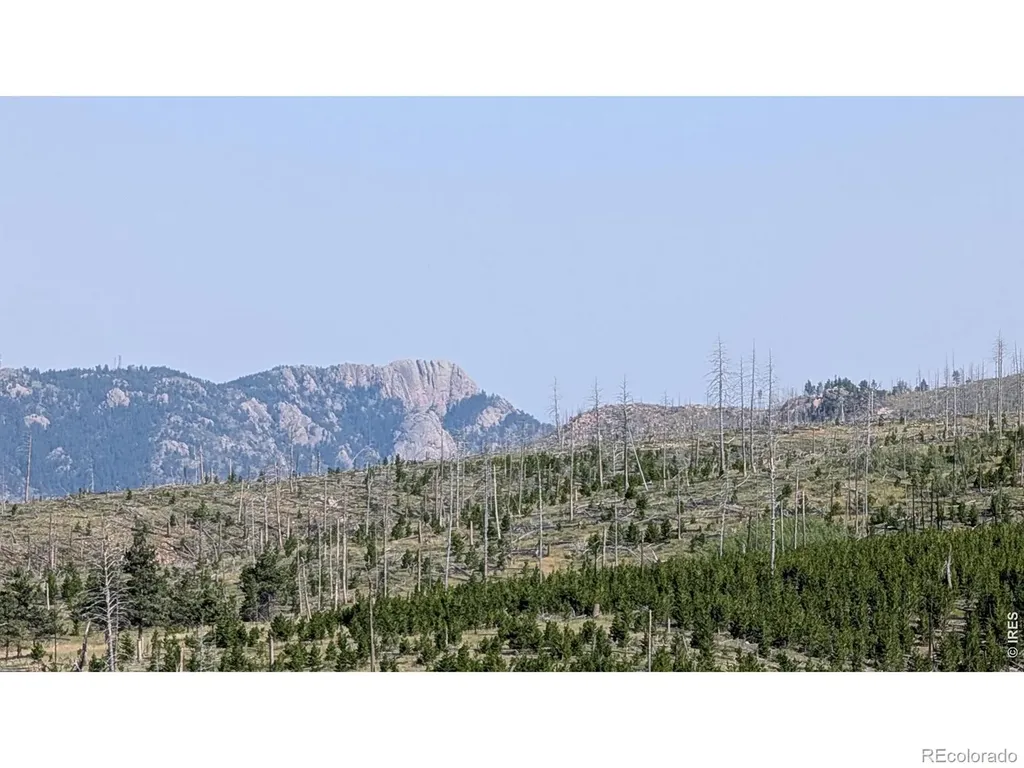 0 Old Camp Road Bellvue CO 80512