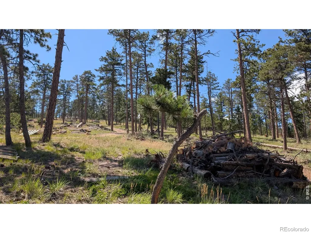 0 Old Camp Road Bellvue CO 80512