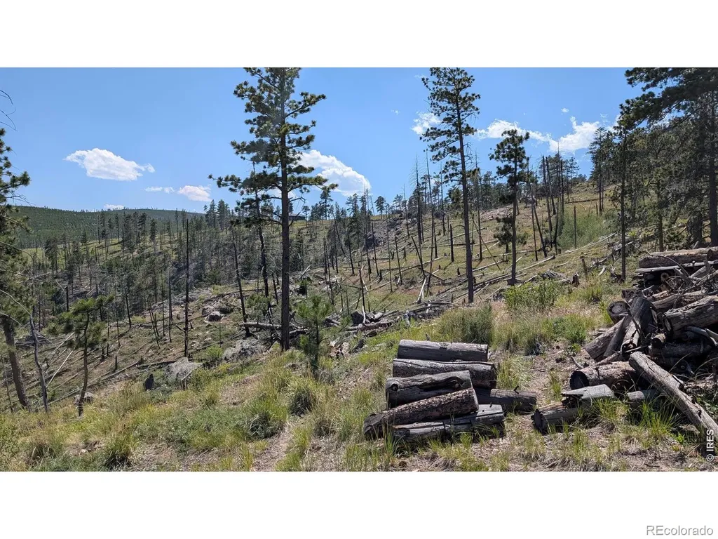 0 Old Camp Road Bellvue CO 80512