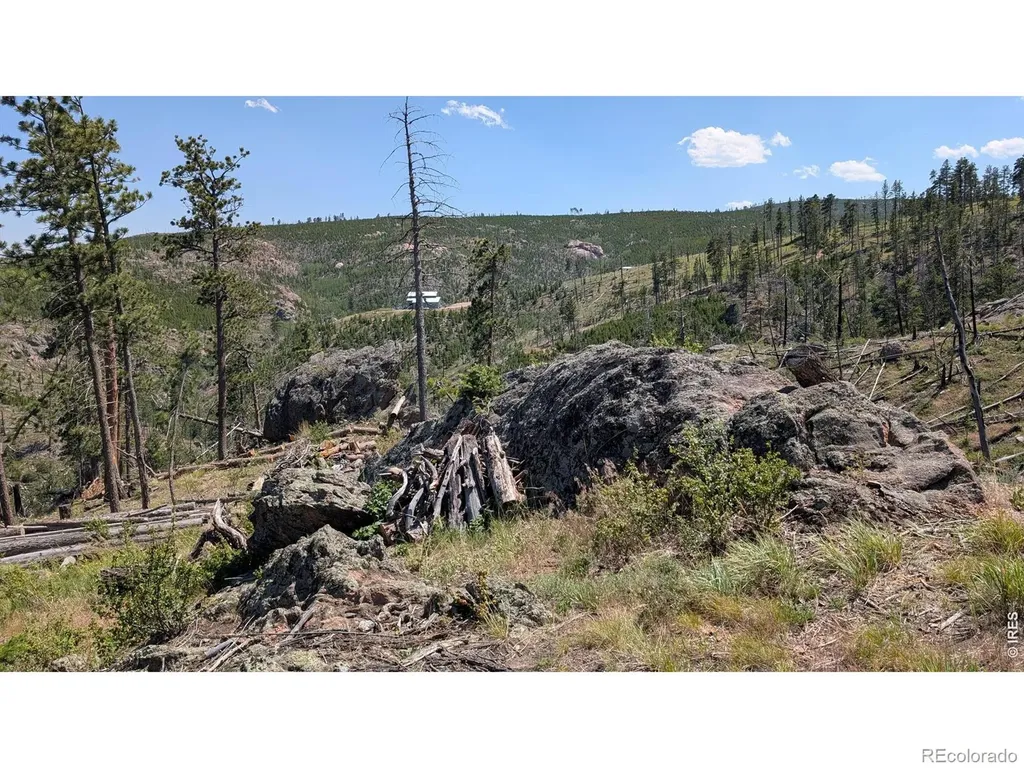 0 Old Camp Road Bellvue CO 80512