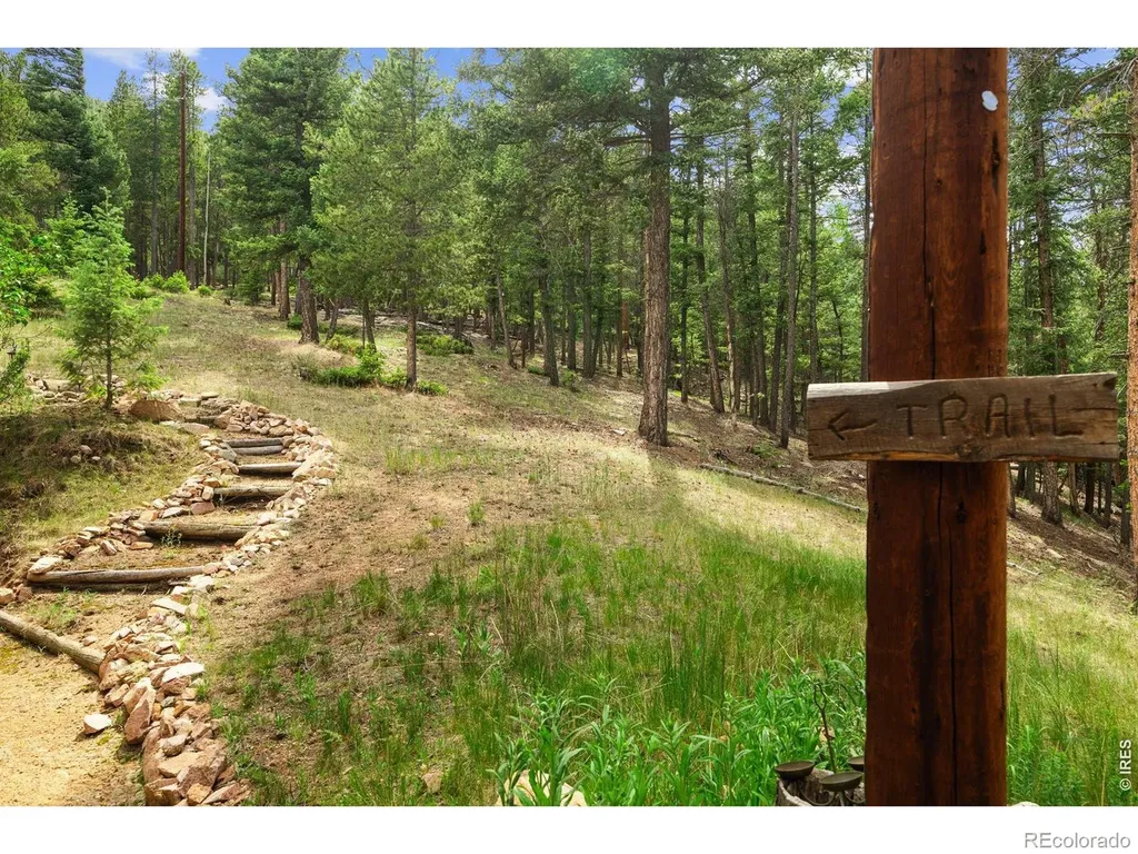 12191 Tecumseh Trail Conifer CO 80433
